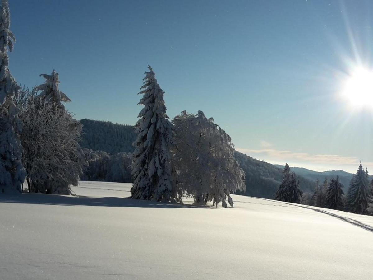 Charmant gîte en montagne, 3 étoiles, proche randonnées et Alsace, tout confort avec terrasse. - FR-1-589-391 - Housity