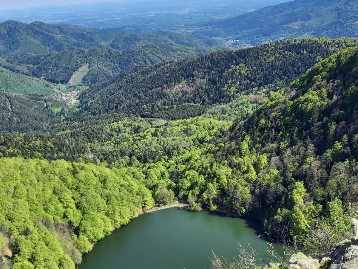 Charmant gîte en montagne, 3 étoiles, proche randonnées et Alsace, tout confort avec terrasse. - FR-1-589-391 - Housity