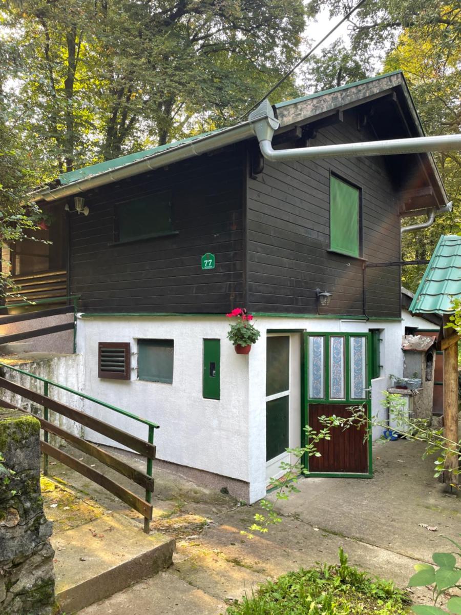 Čarobna koliba M&M - Housity