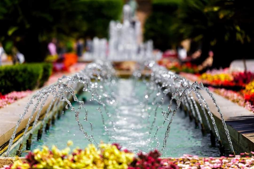 Catedral Plaza - Housity