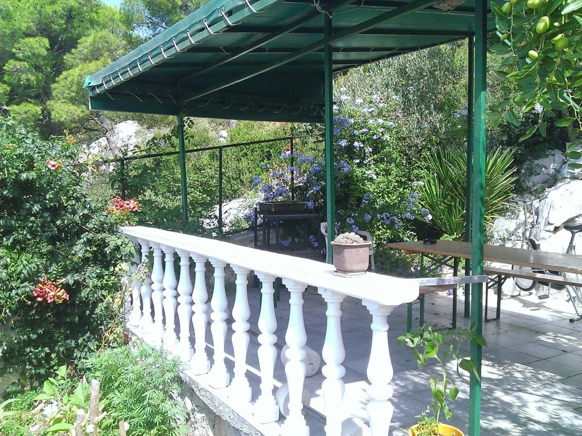 Apartments Luka - Housity