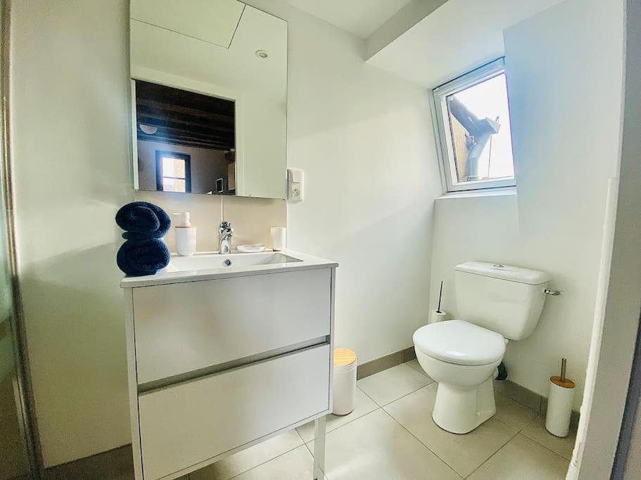 Suitetrails - Aux pieds du Vieux-Mans : Joli Studio Cosy