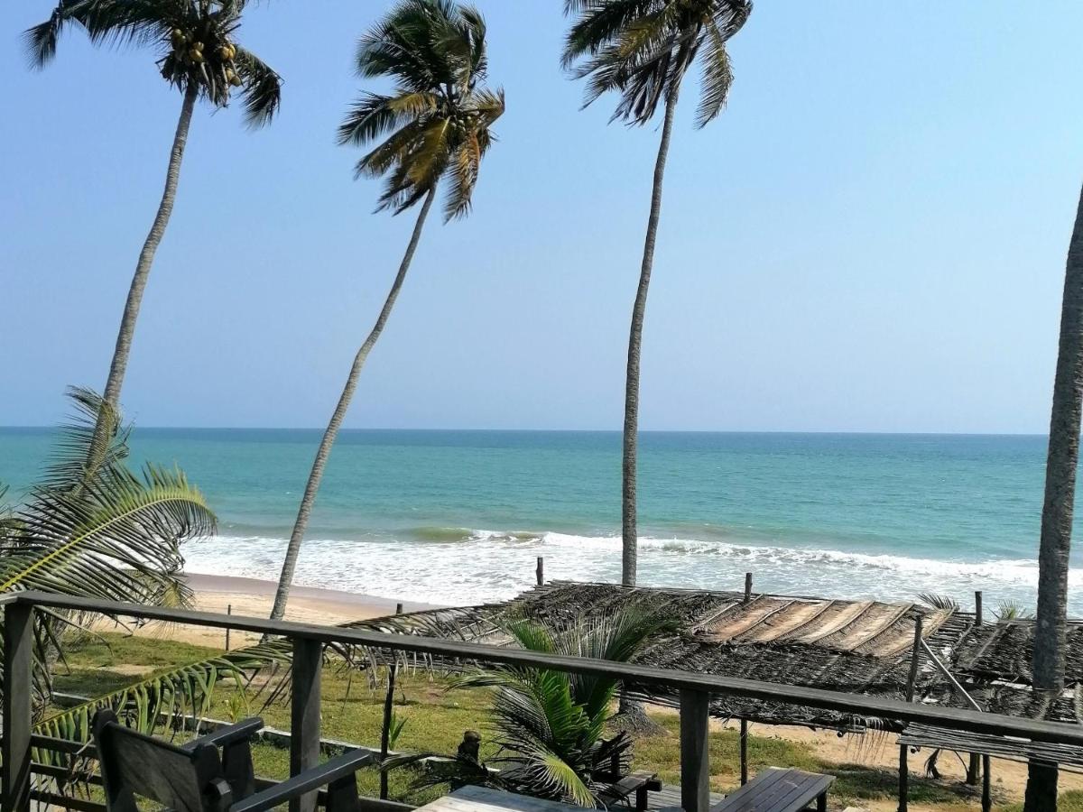 Afro Beach eco Resort Butre - Housity