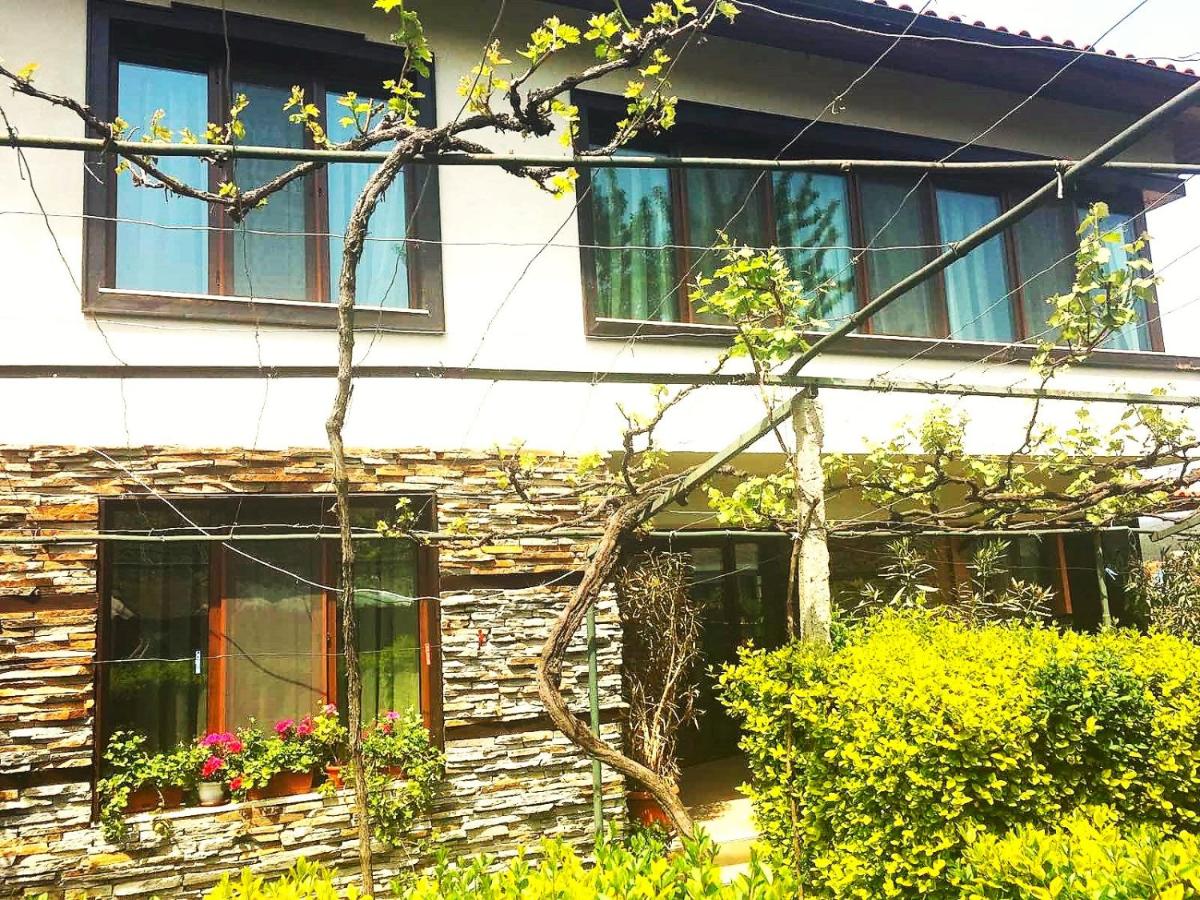 Villa Rogachevi - Housity