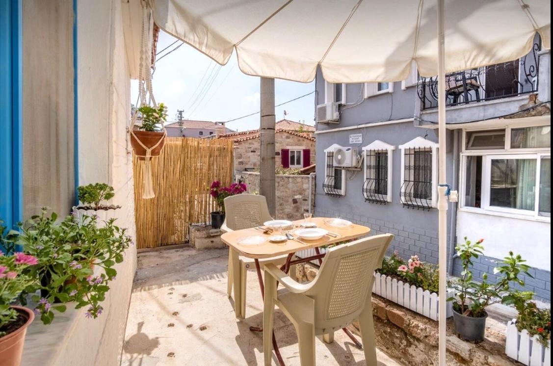 Tiny House Focha - Housity
