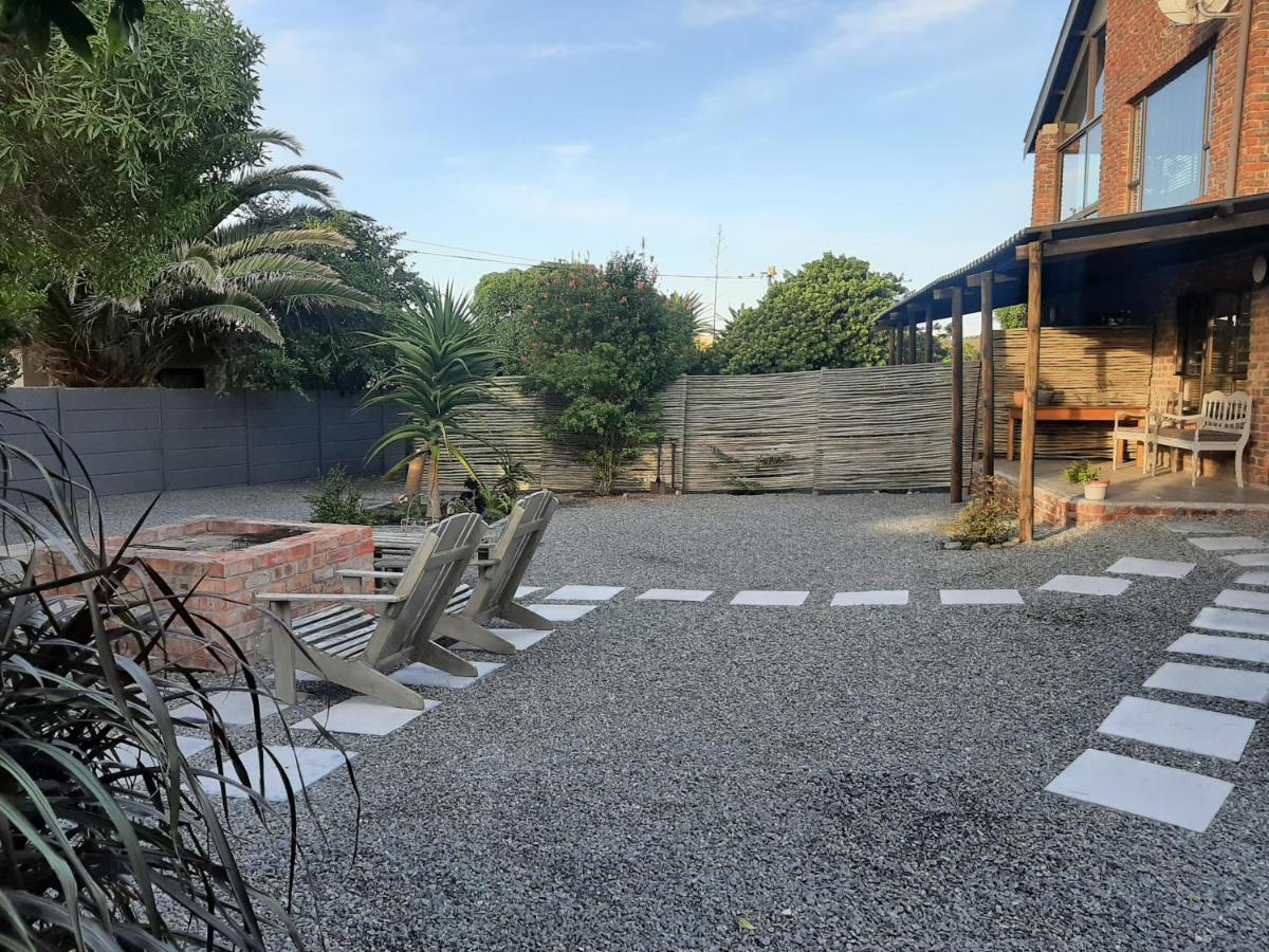 Dragon Tree - Housity