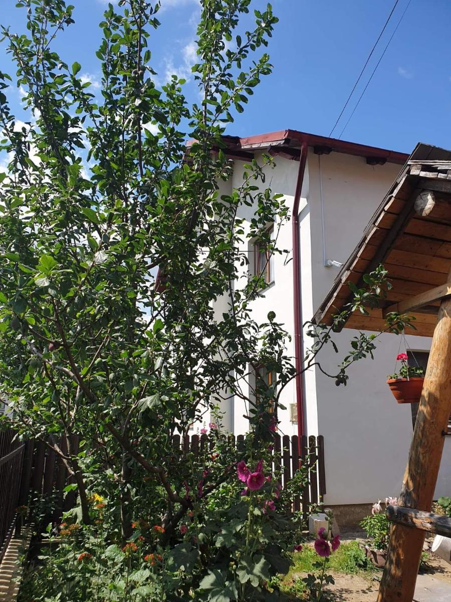 Casa Rustic - Housity