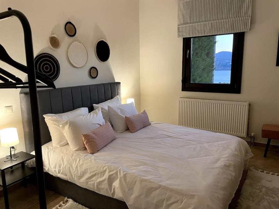 Belvedere garden - Housity