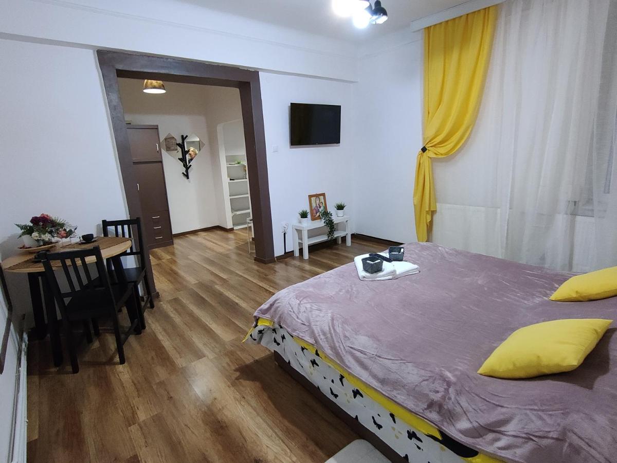 Vlad's Unirii Home - Housity