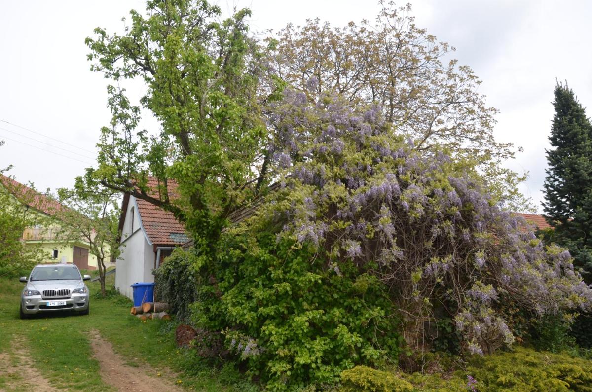 Holiday Home U Černých Ovcí - Housity