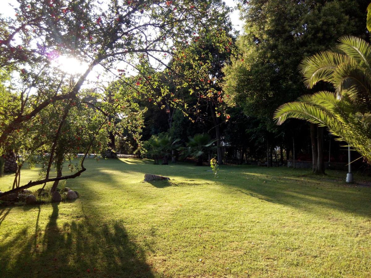 Jardín al aire libre en Balneario San Andres