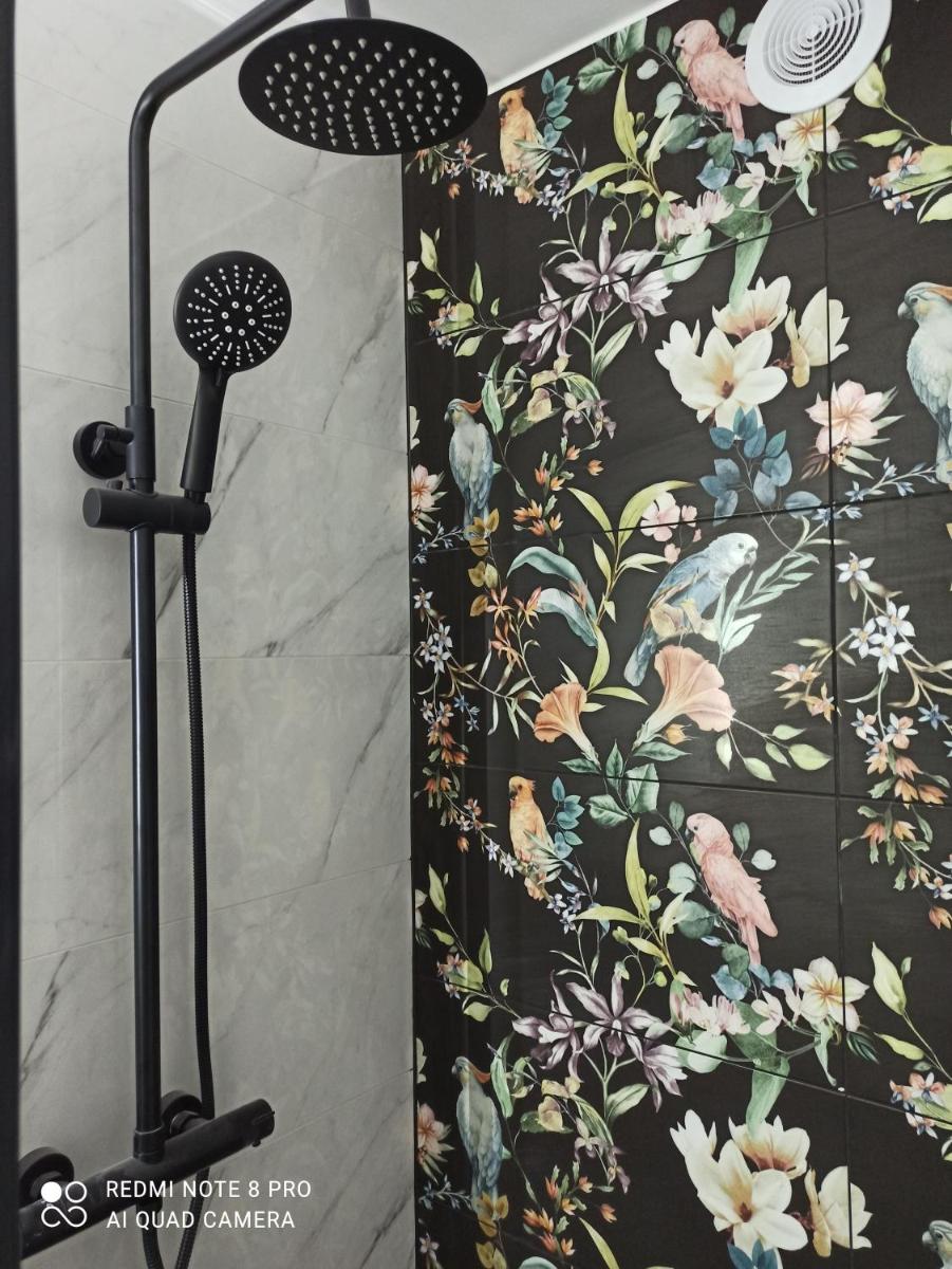 Mieszkanie Antoni - Housity