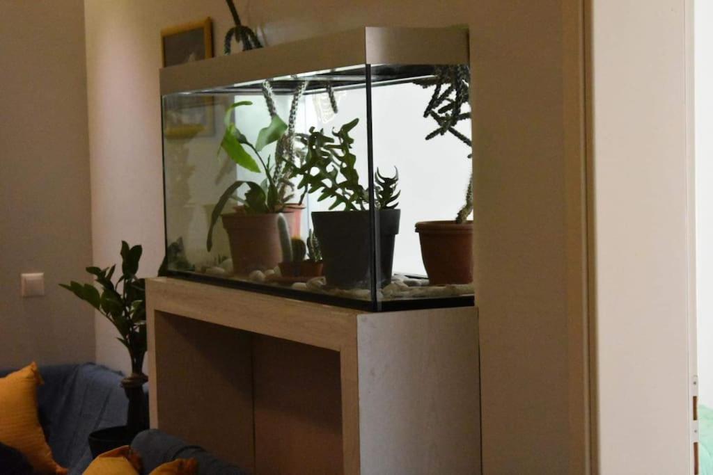 Suitetrails - Central apartment