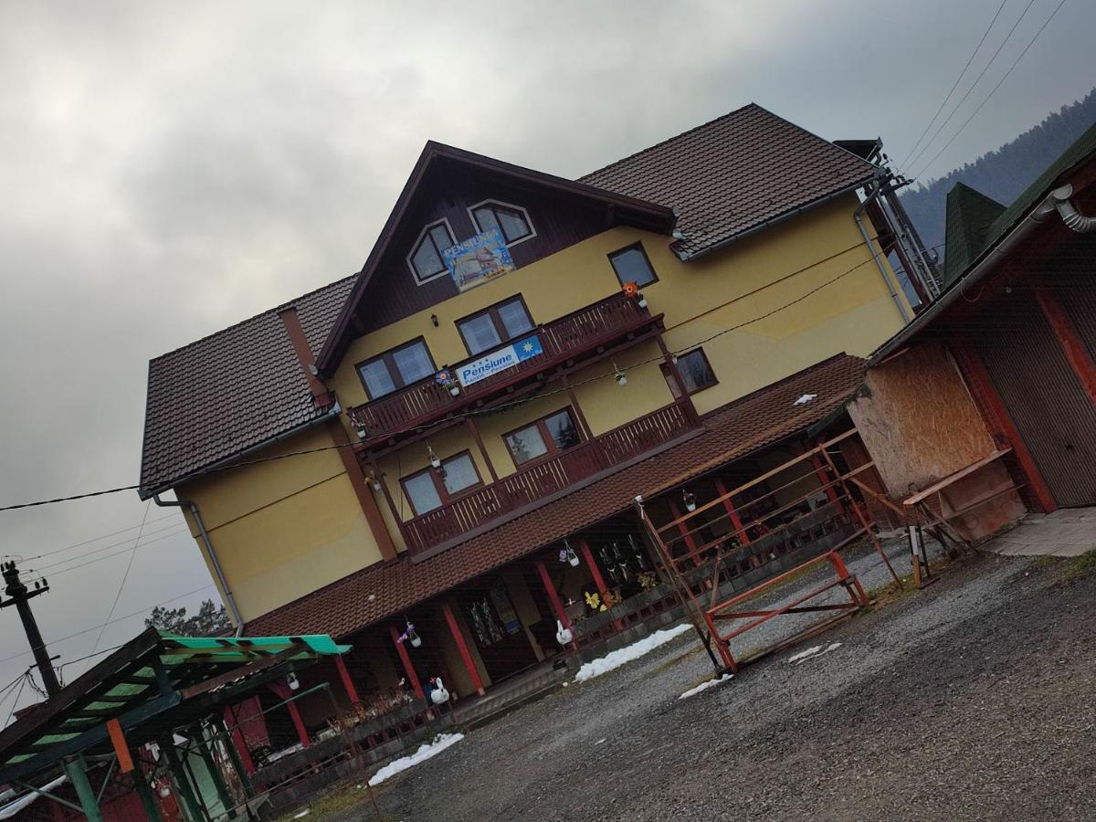 Edelweis Floare de Colt - Housity