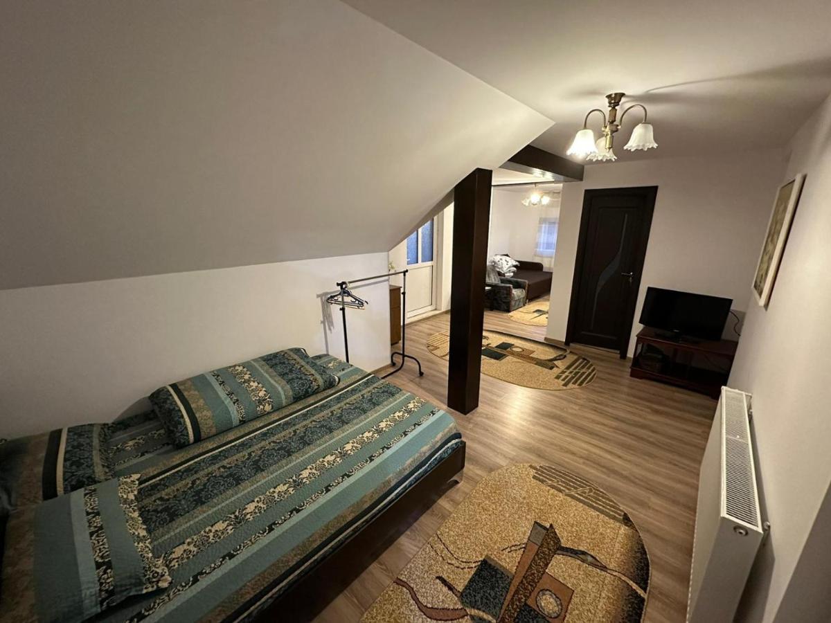 Casa de vacanta Mirela - Housity