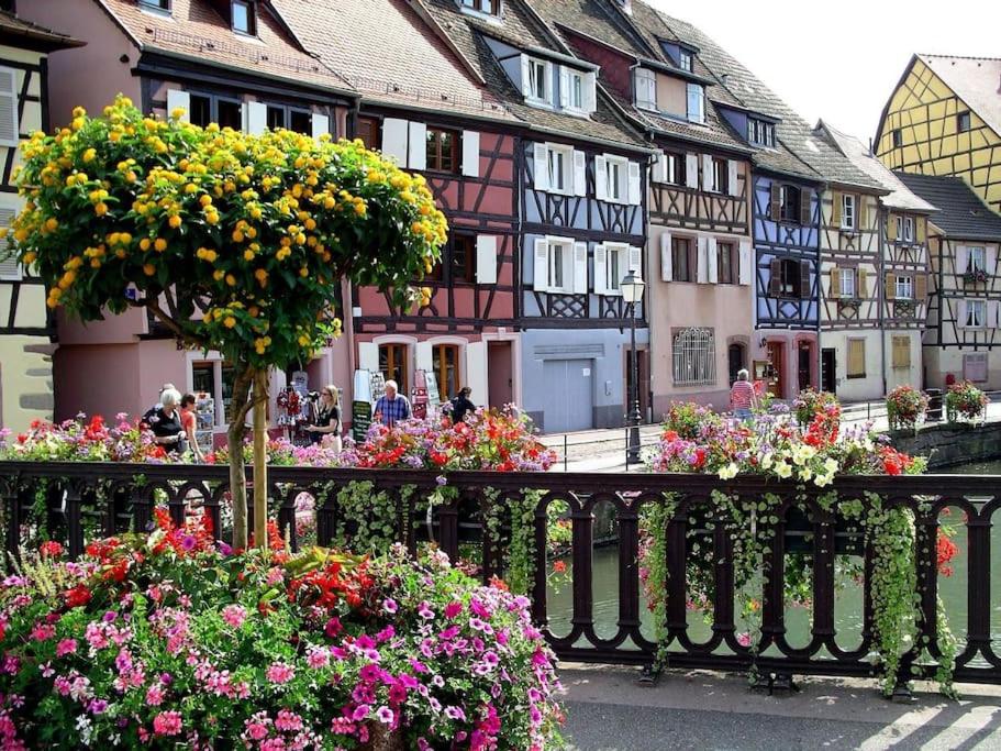 Colmar,appart chaleureux 2 pas centre avec jardin - Housity