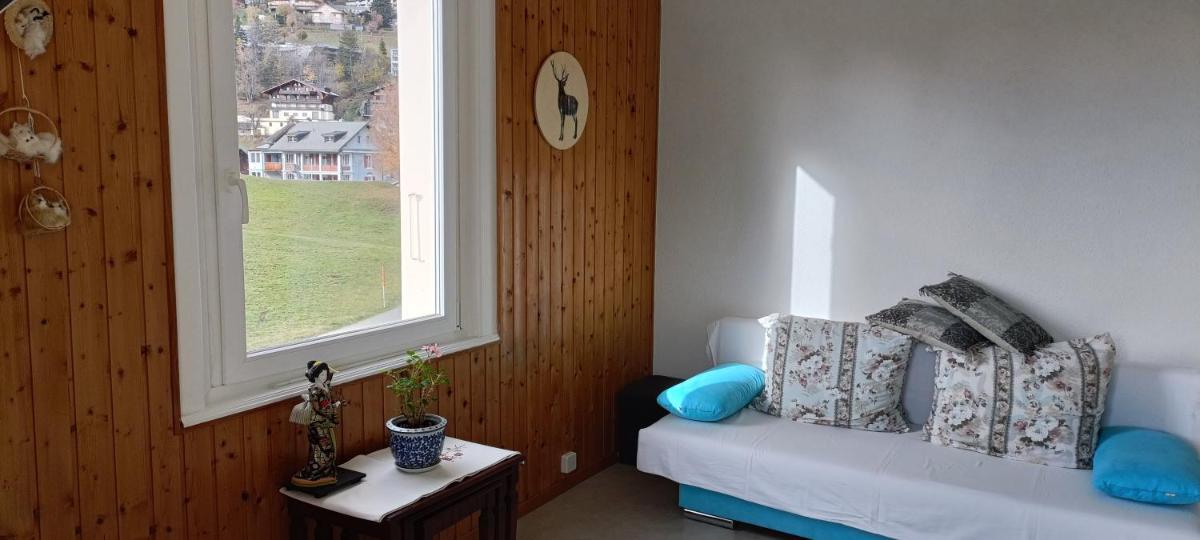 Leysin Alpine Apartment - Housity