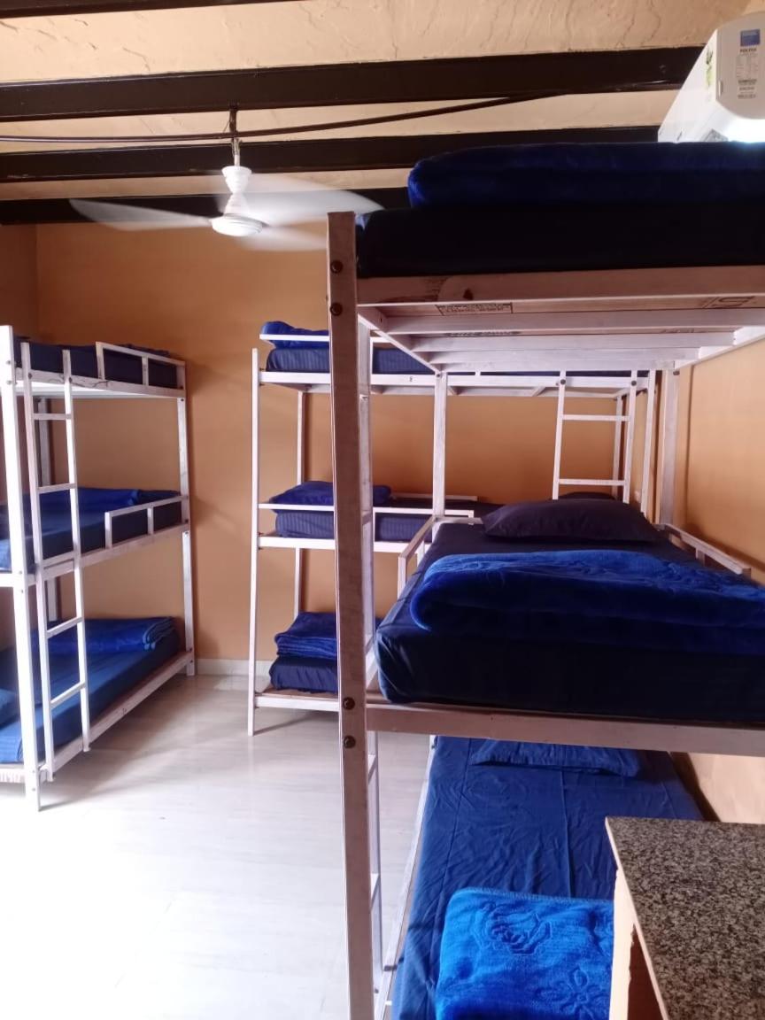 3 Fox Hostel - Housity