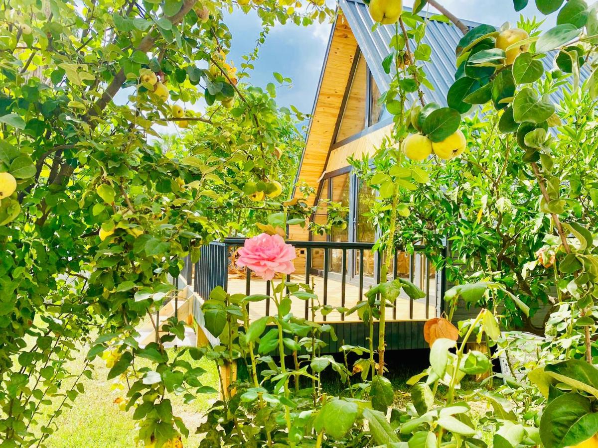 Garden Bungalow - Housity