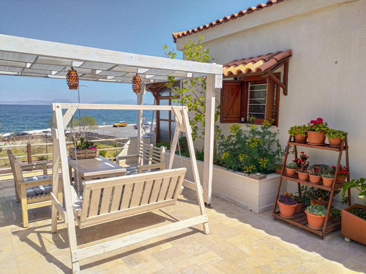 Sea View Roof Garden - Housity