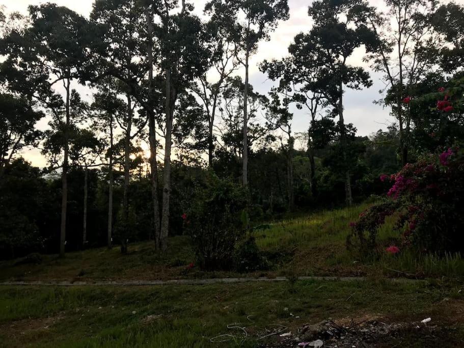 Teratak An Nur: A village on top of the hill - Housity