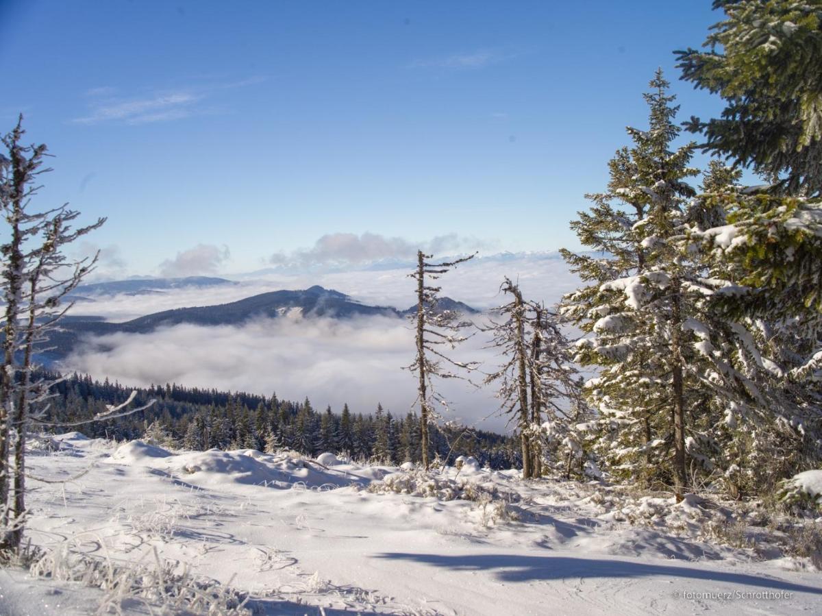 Wiesenquartier I Chalet I Adults only - Housity