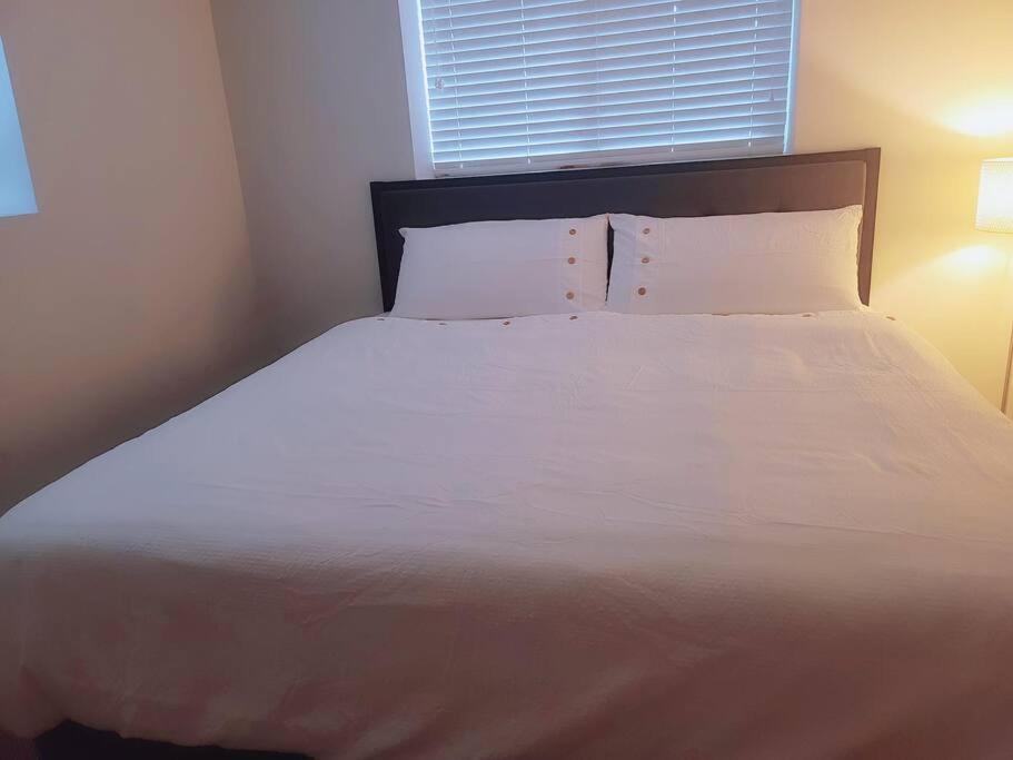 Private 3bed-2bath, 10 min to Guilford/Surrey - Housity