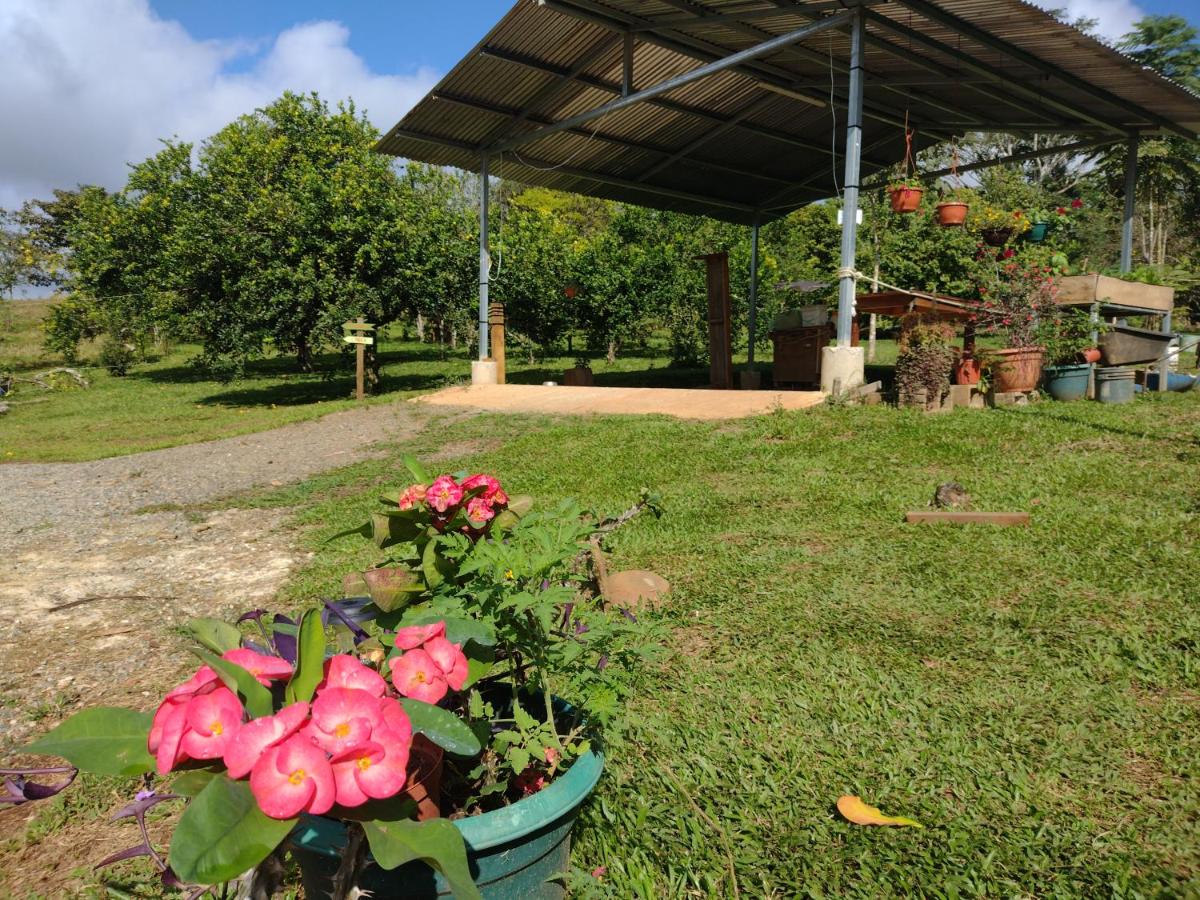 Eco Cabañas Vistas del Cielo - Housity