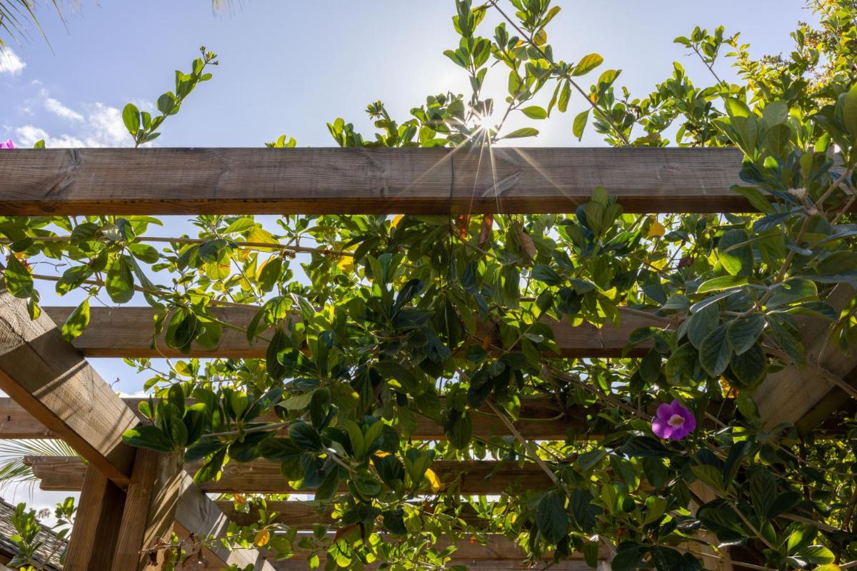 Hôtel Les Créoles - Housity