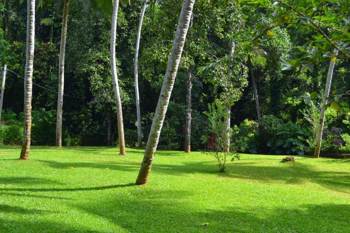 Sweet Cinnamon Kandy - Housity