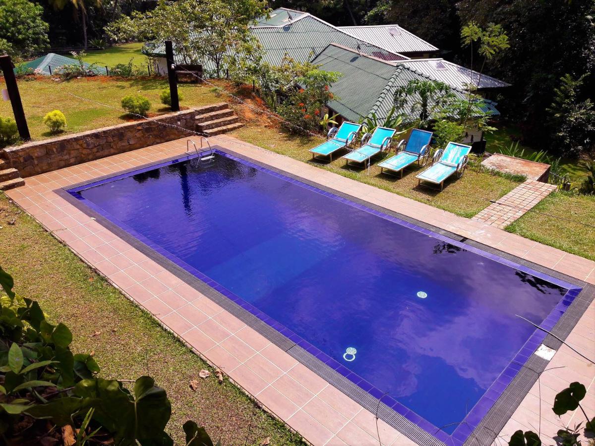 Sweet Cinnamon Kandy - Housity