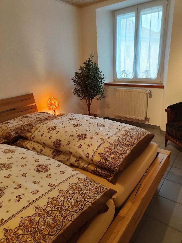 Studio Dante - Housity