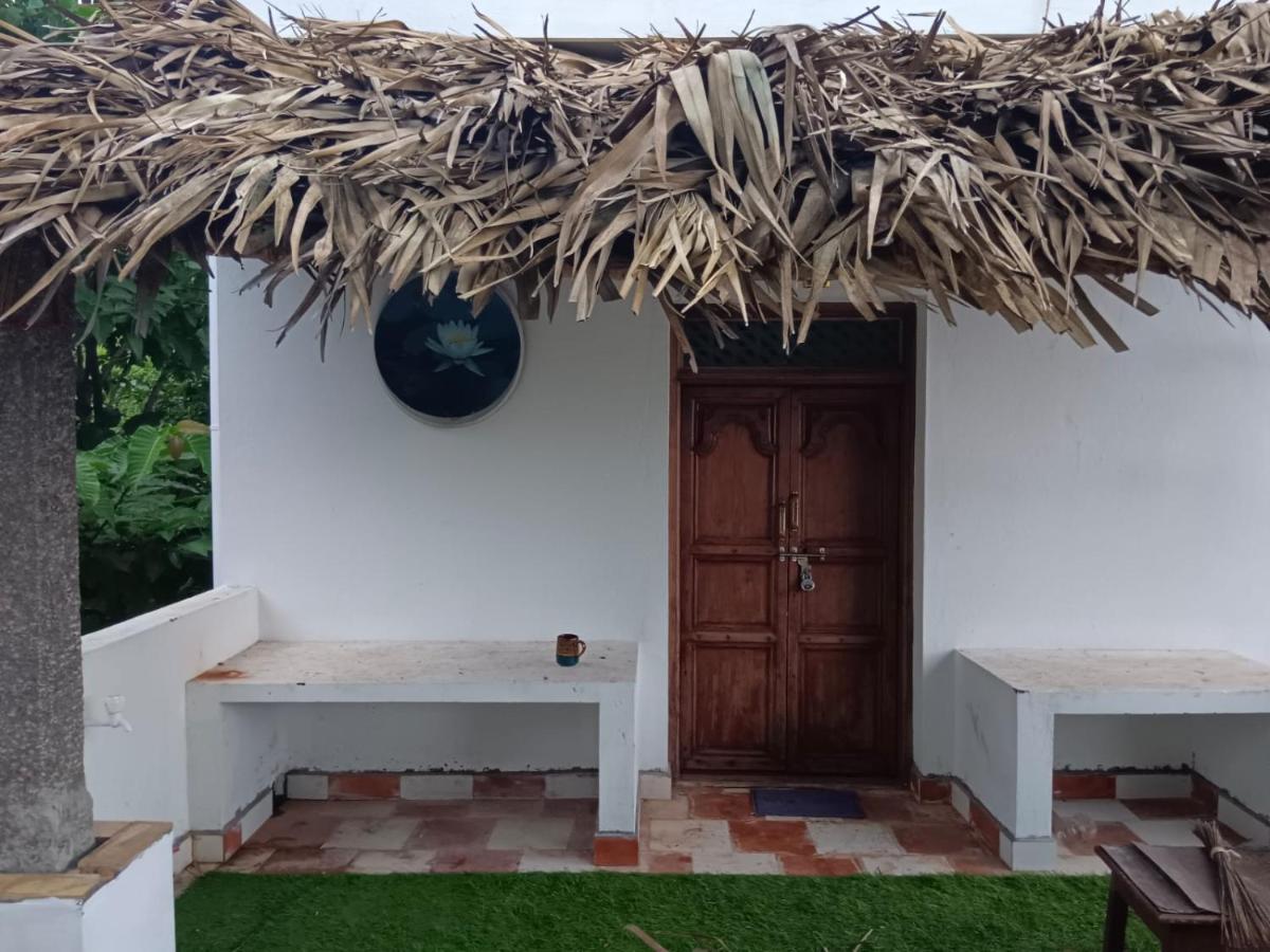 Auroville lotus pond studio - Housity