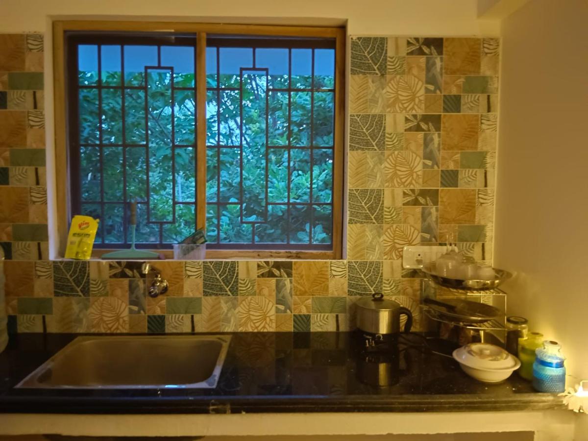 Auroville lotus pond studio - Housity