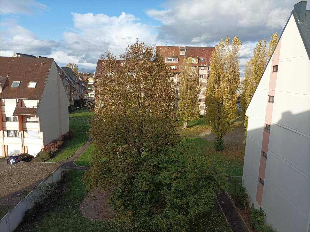 Le ZEN, location chambre privative, Kingersheim proche Mulhouse - Housity