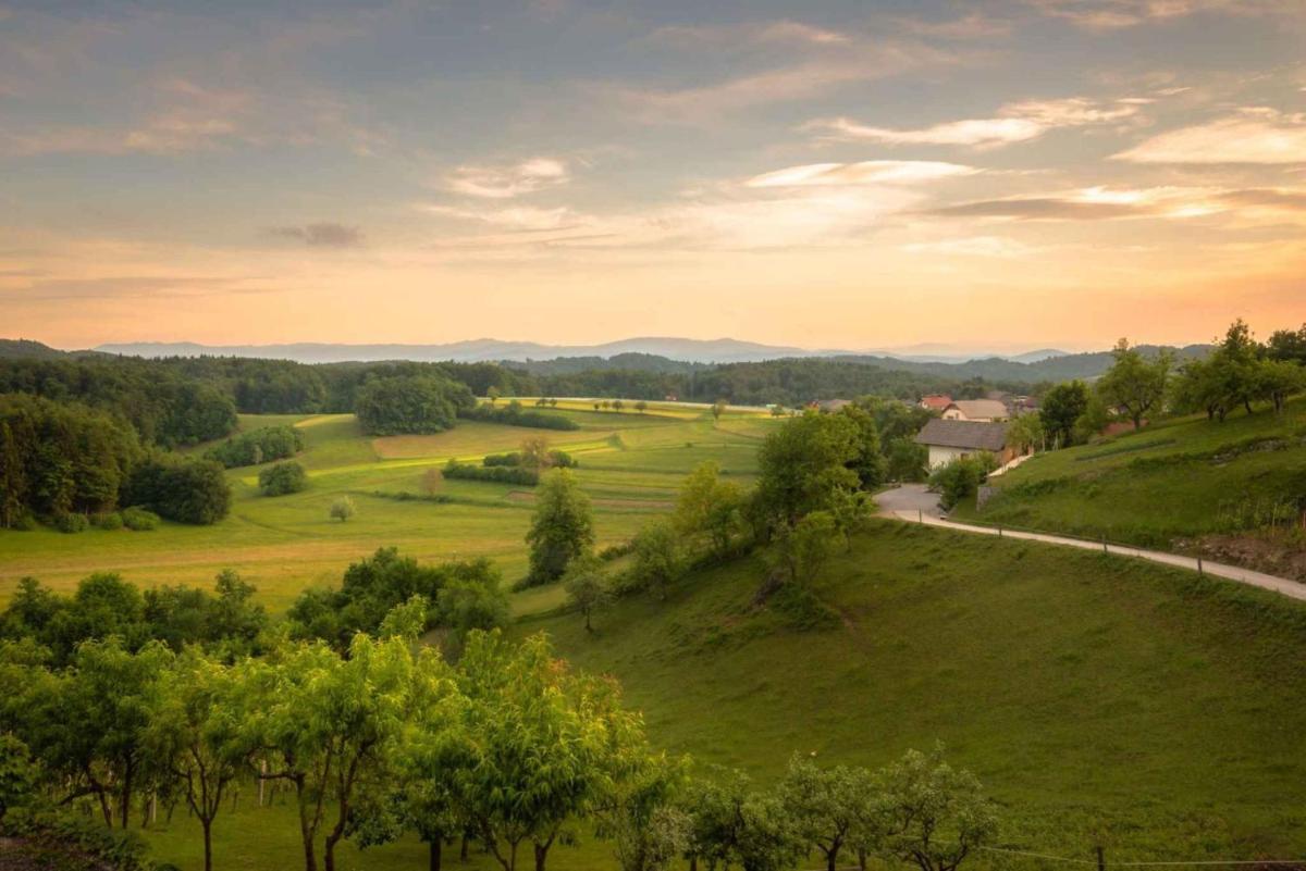 Holiday home in Trebelno - Dolenjska & Bela krajina Unter- & Weißkrain 26032 - Housity