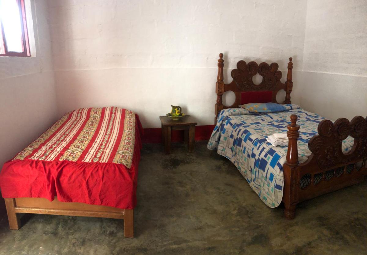 Finca la Camelia - Housity