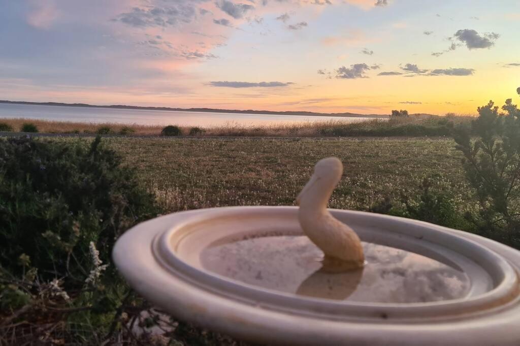 Suitetrails - Coorong Lakeside Cottage