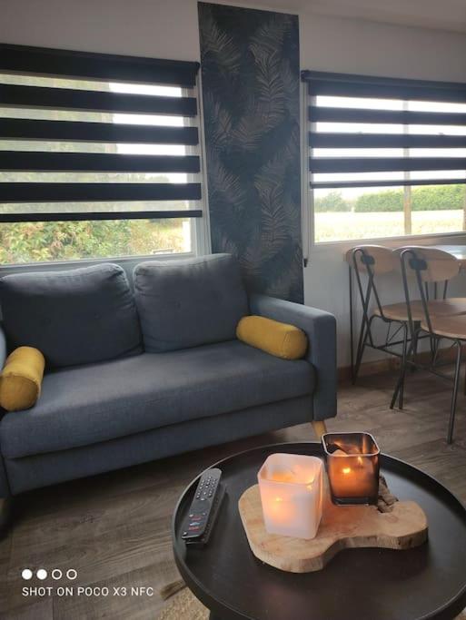 Tiny House en campagne - Housity