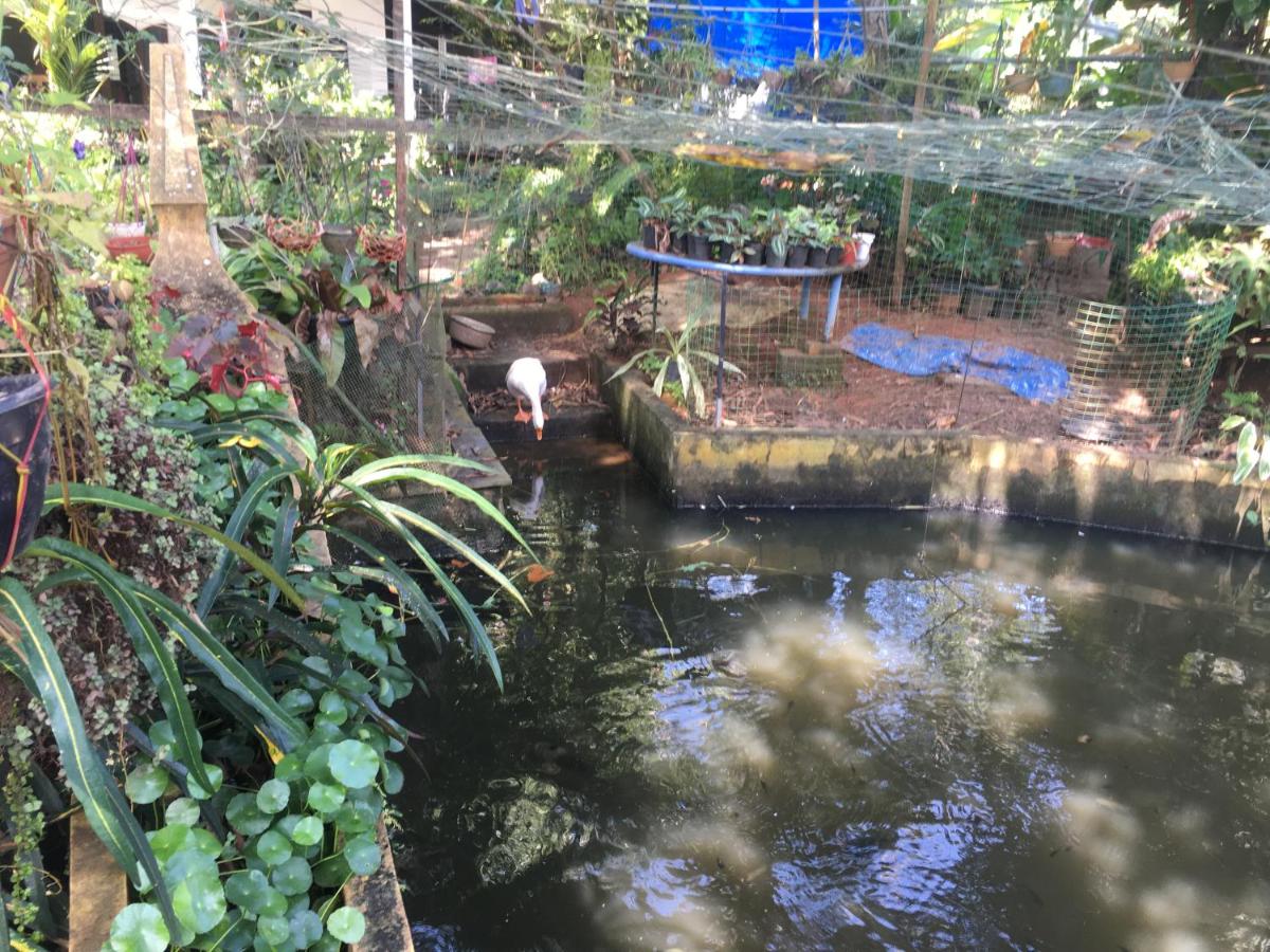 Suitetrails - Marari Garden Homestay (Ithal Gardens)