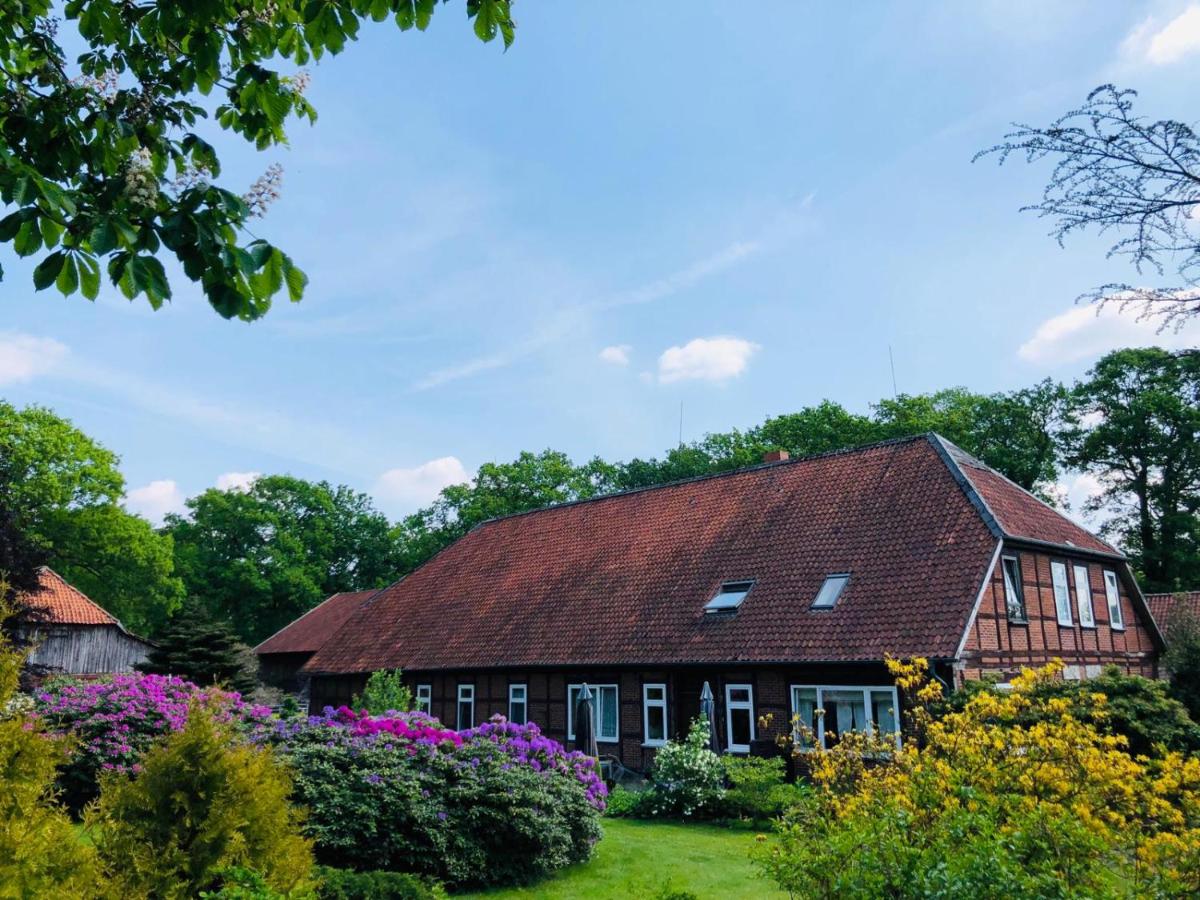 Hof Düshop - Housity