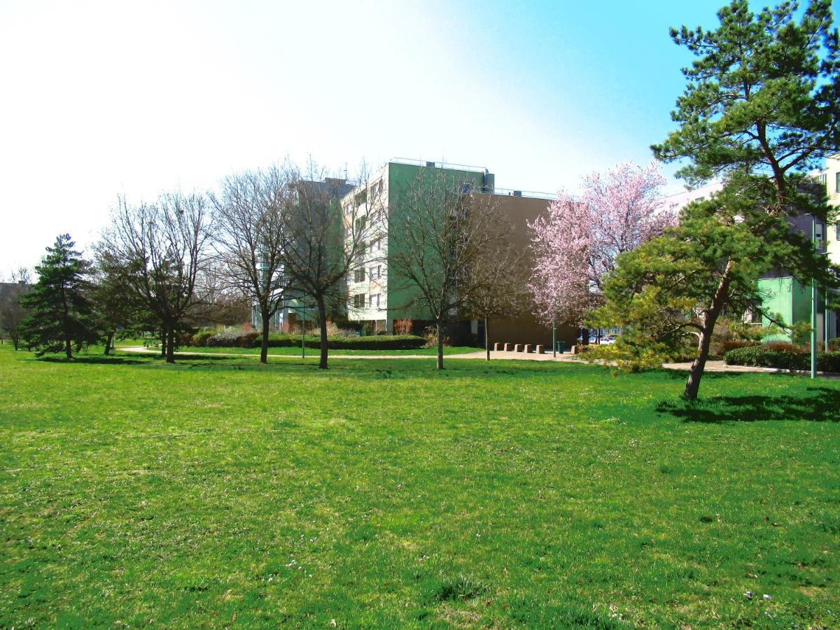BELLEVUE - Housity