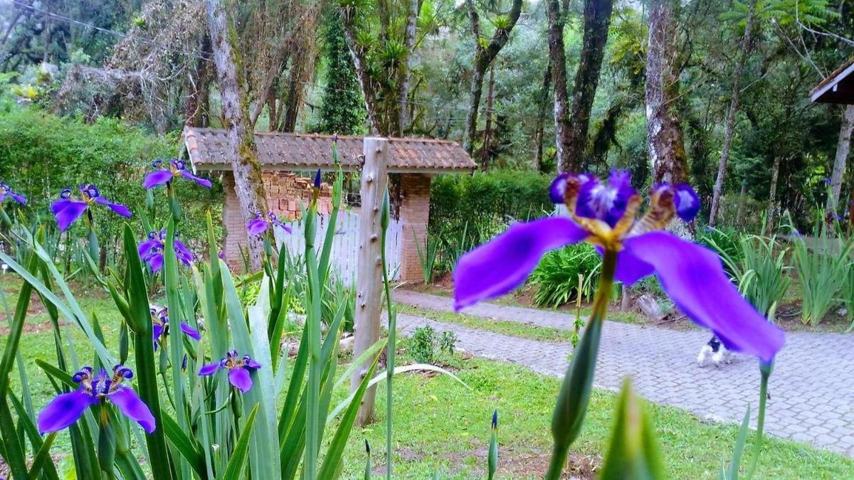 Villa Bracsak - Housity
