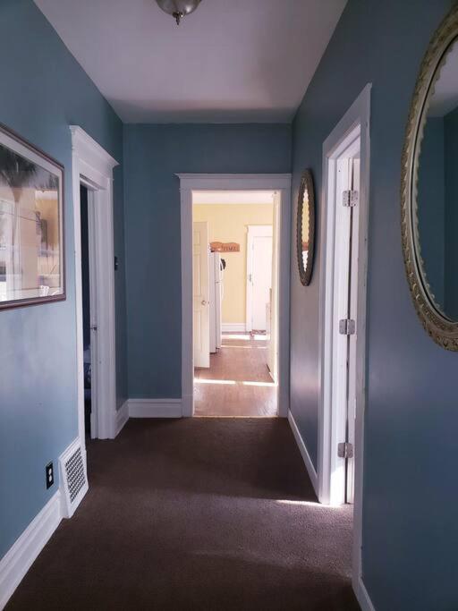 Large four bedroom freshly remodeled apartment - Housity