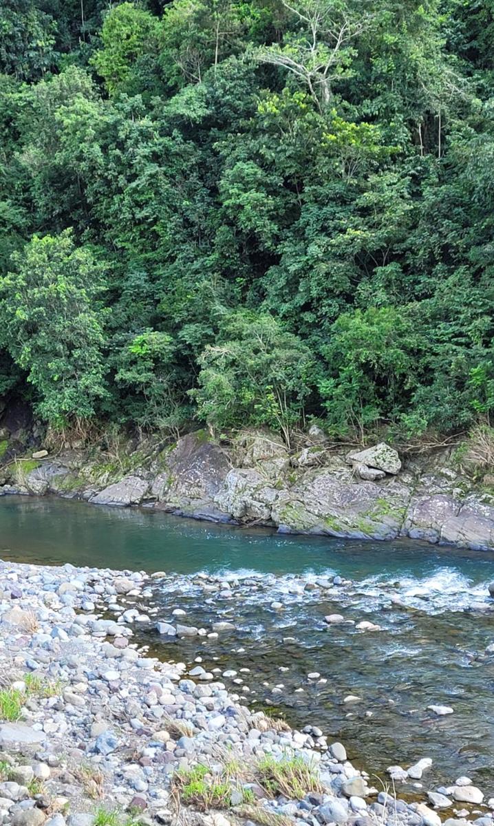 Chalet Brisas del Río, un paraíso en Ciales, PR - Housity