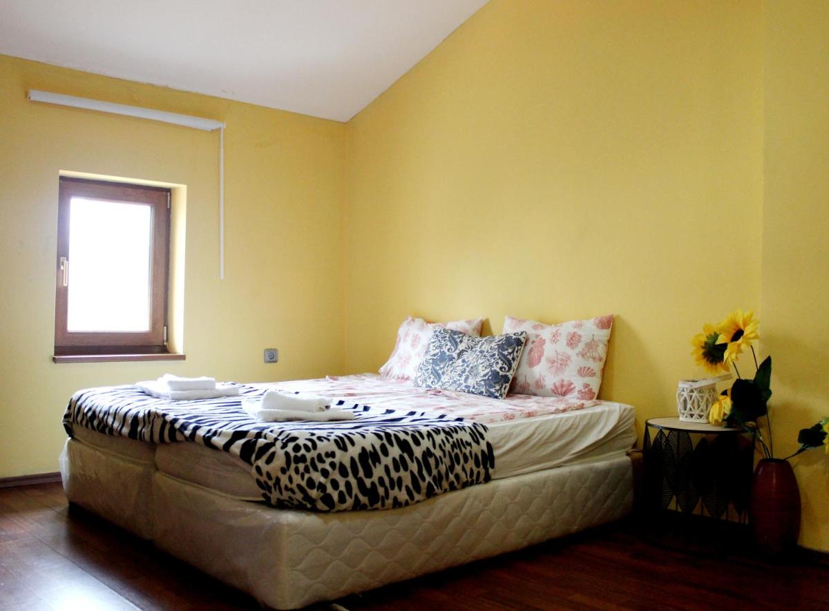Vitoshka Biggest Apartment - Housity