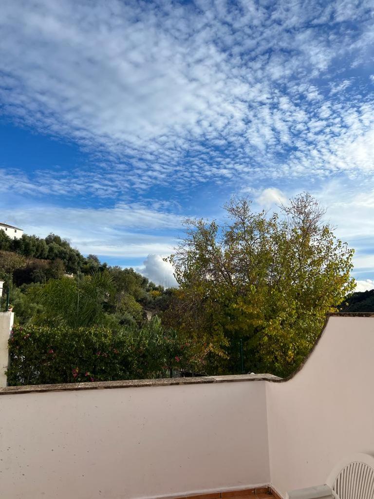 Casa Rural Bajadilla 5 - Housity