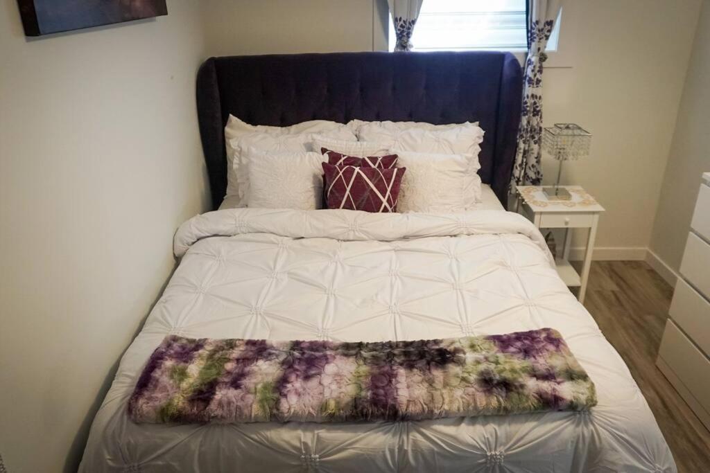 Cozy and Elegant suite - Housity