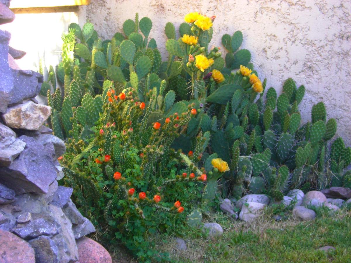 Pasos Andinos B&B - Housity
