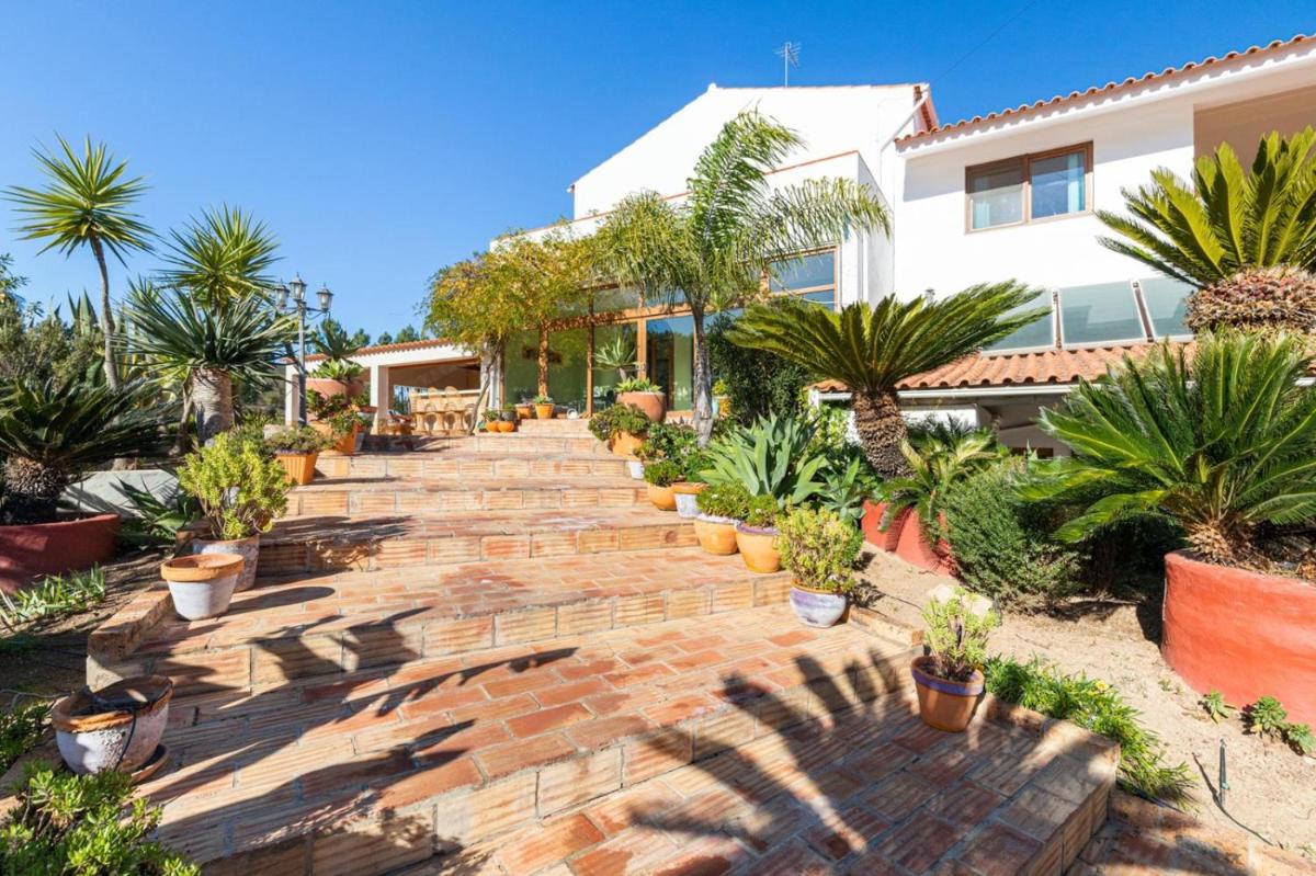 Casa do Palmeiral - Hoom B&B - Housity